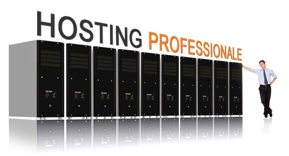 Hosting professionale