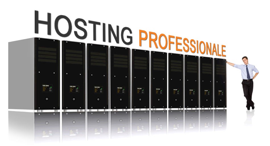 Hosting professionale